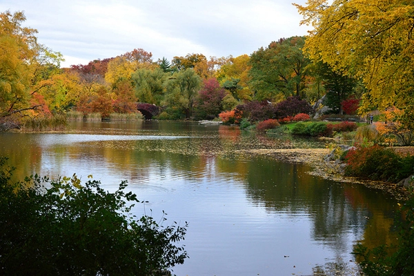 Autumn in Central Park image: Peter Miller via Flickr