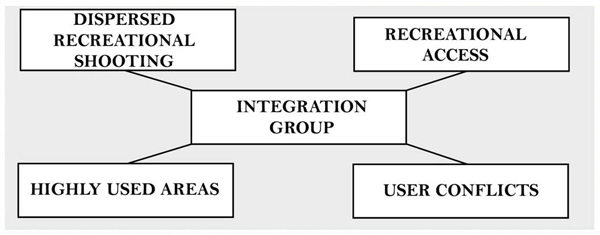 Issue working group and integration group structure image: Rachel Glass