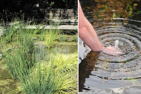 Image 5: CMS mock-up pool: Planting over substrate in regenerative zone (left),  Testing a jet in the non-regenerative zone (right)    image: CMS