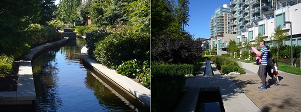 Open channels in the surface stormwater system image: Cynthia Girling