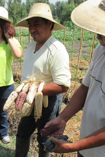 Xochilmilco farmer image: Erik Mustonen