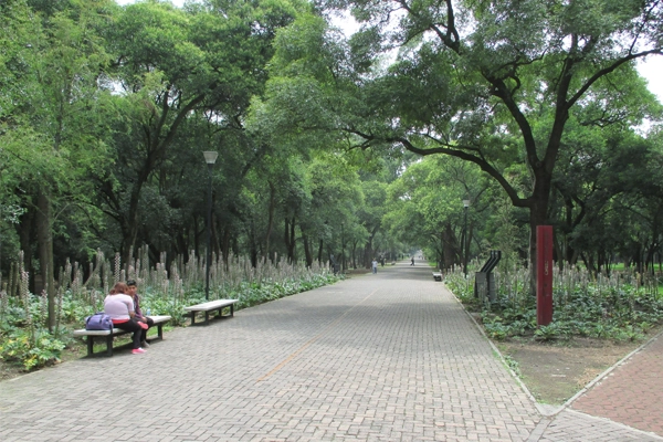 Chapultepec Park promenade image: Erik Mustonen