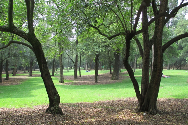 Chapultepec Park urban lungs image: Erik Mustonen