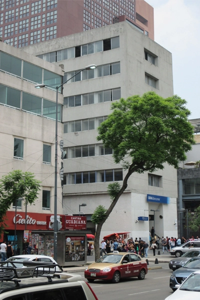 Urban tree, Avenida Juárez, central Mexico City image: Erik Mustonen