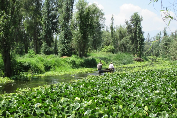 Canoe on canal in Xochimilco image: Erik Mustonen