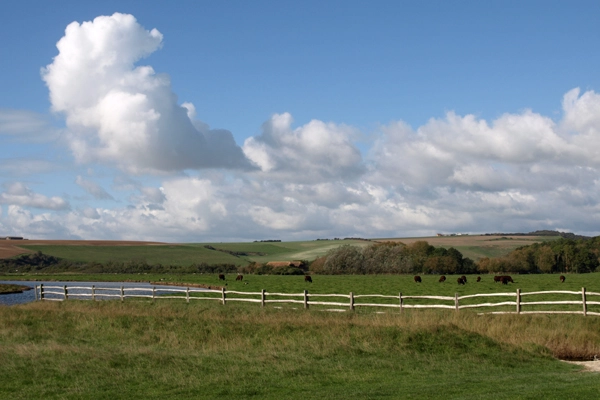 Seven Sisters Country Park in southern England image: Alexandra Hay