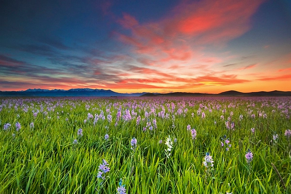 Sunrise at Camas Prairie Centennial Park near Hill City, Idaho image: Charles Knowles via Flickr