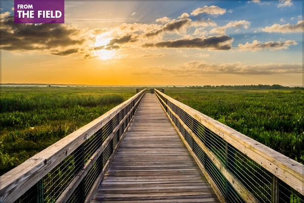Sunrise over Paynes Prairie in Alachua County, Florida near Gainesville image: Wesley Hetrick via Flickr