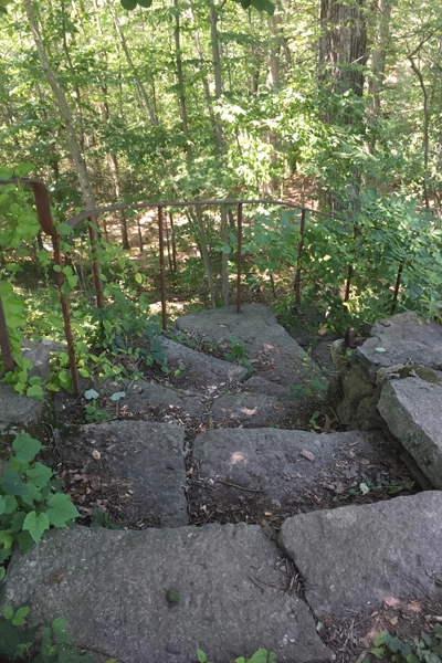 The gardens of Wyndygoul's current condition image: James O'Day