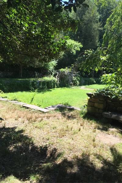 The gardens of Wyndygoul's current condition image: James O'Day