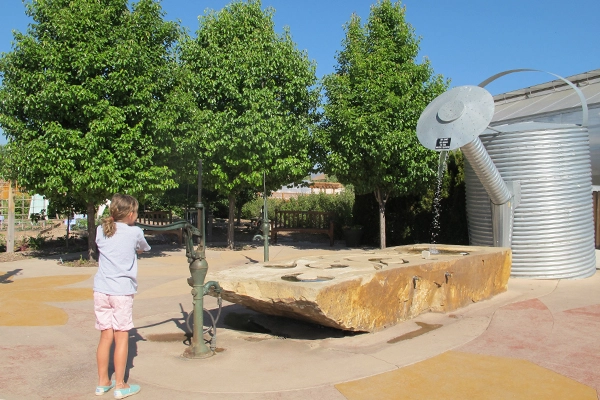 Cause and effect in the garden image: Amy Wagenfeld