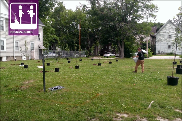 Neighborhood Strong Plantings image: Tim Garland