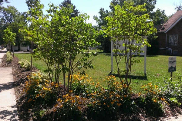 Neighborhood Strong Plantings image: Tim Garland
