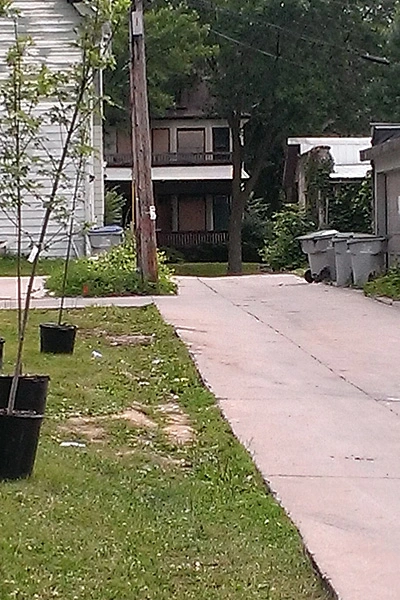 Neighborhood Strong Plantings image: Tim Garland