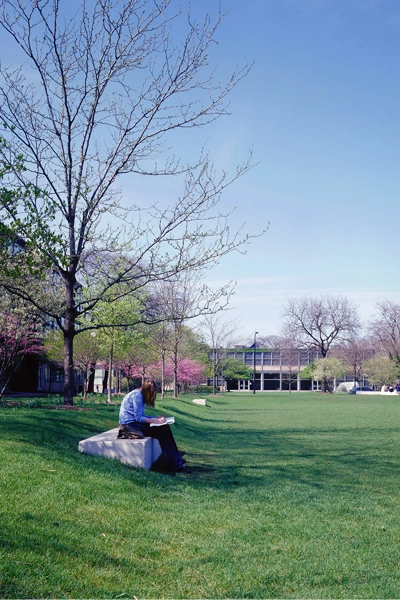 Crown Hall Field, monolithic slab seating image: courtesy of Hoerr Schaudt