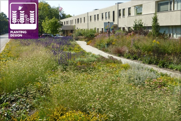 Ball Horticultural garden design by Roy Diblik image: Brooke Ryan, Ball Horticultural Company