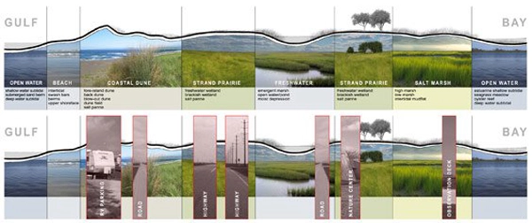 images of the barrier island were drawn by Studio Outside. image: Biohabitats