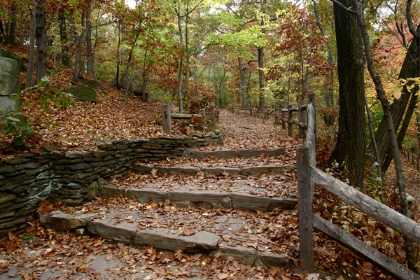 The New York Botanic Garden image: Alexandra Hay