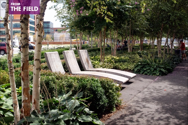 Yards Park, Washington, DC image: Alexandra Hay