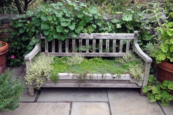 At Dumbarton Oaks in Washington, DC image: Shawn Balon