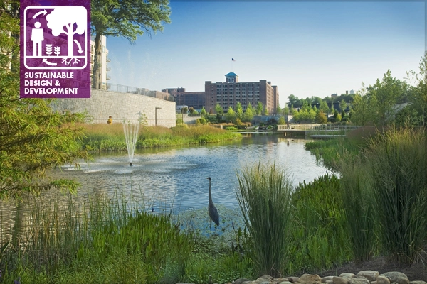Clear Creek Stormwater Basin, Atlanta, Georgia: a functioning green infrastructure system solution to detain stormwater for Combined Sewer Overflow (CSO) system. The heron is standing on a 11’ wide littoral shelf that the City of Atlanta accepted in lieu of a fence. image: Steve Carrell 