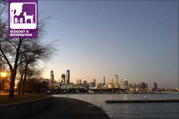 image: Bob Oberdorfer