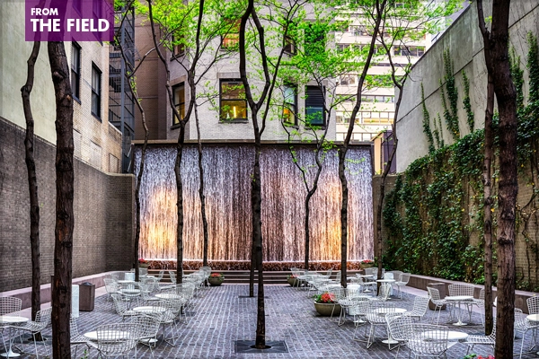 Paley Park in New York City image: RomanK Photography via Flickr