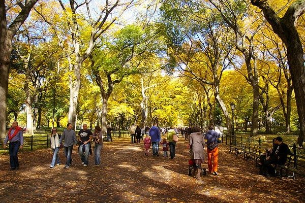 Central Park image: Remi Ravaz via Flickr