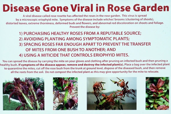 Figure 5: Photograph of sign at Fort Worth Botanic Garden image: David Hopman