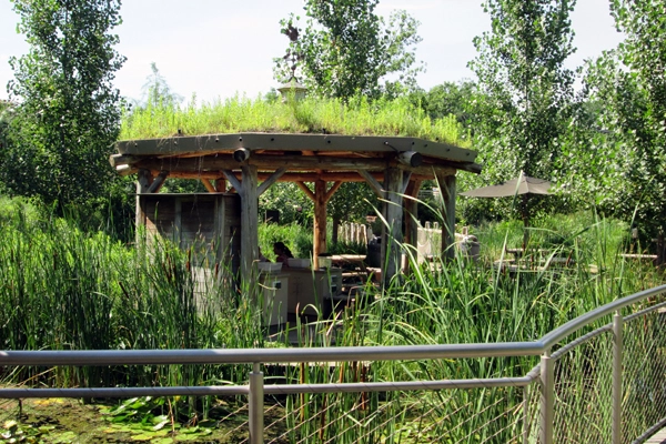 Pavilion in Texas Wetlands exhibit image: Lisa Horne