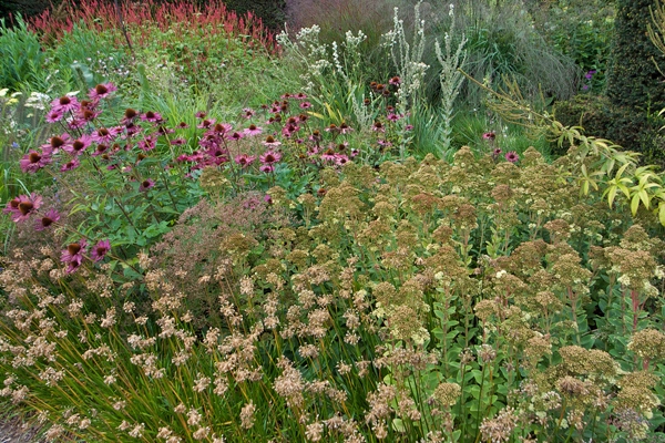 Piet Oudolf Garden: Grass Days 2009, Hummelo, Netherlands image: Tony Spencer via thenewperennialist.com