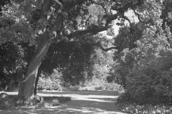 image: Gordon Osmundson