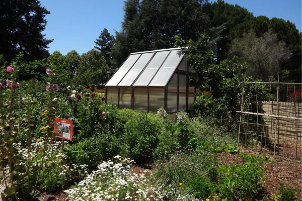 Plant experimentation area image: Chris Pattillo