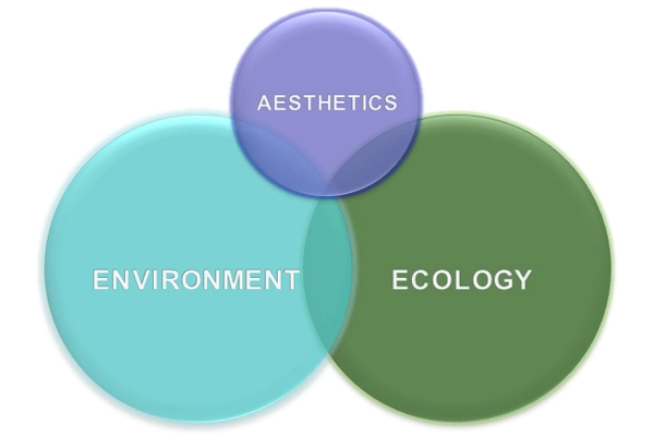 Figure 4: Aesthetic, environmental, and ecological balance in a prairie plant palette image: David Hopman