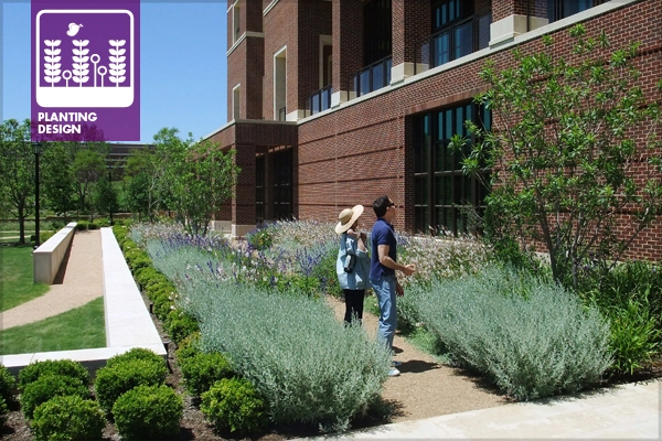 Figure 1: Bush Center south Terrace on opening day in 2013 image: David Hopman