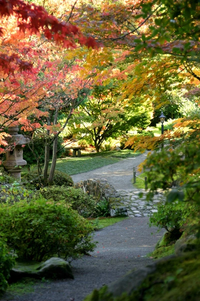 The Japanese Garden in the University of Washington’s Botanic Gardens and Arboretum image: Douglas Easterly via Flickr