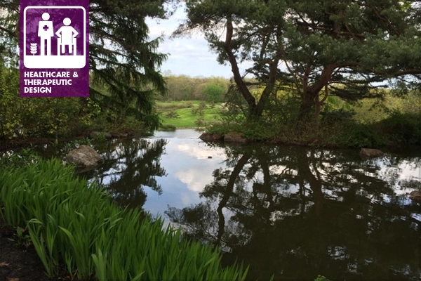 Reflection on water at the Chicago Botanic Garden image: Jack Carman