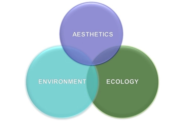 Figure 5: Aesthetic, environmental, and ecological balance of native turf polycultures image: David Hopman