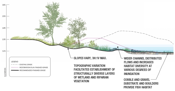 Ecological assessments can influence the design process. A conceptual design section shows existing grade, designed restoration grade, and a proposed revision to the designed grade to increase ecological functionality in a restored stream channel. image: Great Ecology