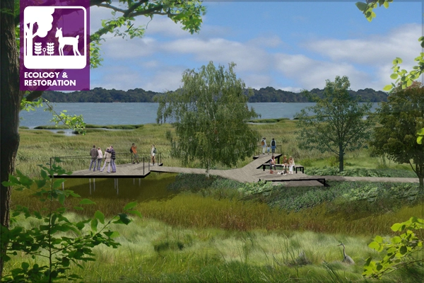 Landscape architects can help communicate the restoration potential of a site. A rendering depicts proposed improvements including native revegetation, constructed wetlands, and public access amenities at a former industrial site. image: Great Ecology
