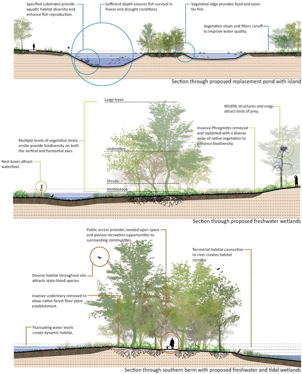 Sections depicting proposed ecological improvements for a brownfield site communicate the range of potential benefits in ecosystem services and public amenities. image: Great Ecology