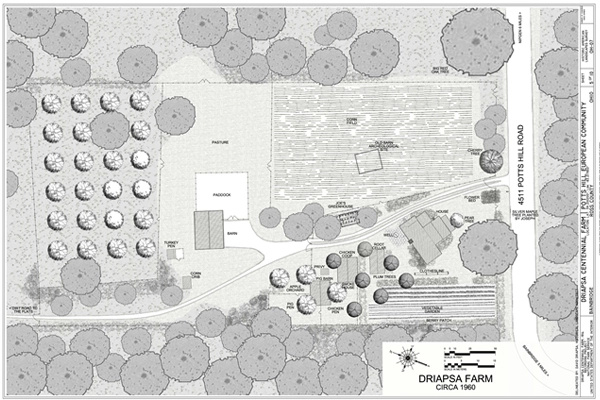 The Driapsa Farmyard, 1960 image: David Driapsa