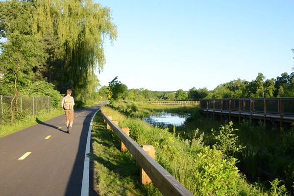 A multi-agency partnership in Cambridge, Massachusetts converted the underutilized Alewife Reservation to a large engineered wetland (which can absorb and clean 3 million gallons of runoff per storm) with enhanced recreational opportunities, including a bike path and long boardwalks. image: MWH Global