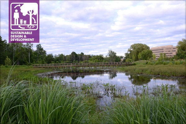 Alewife Reservation image: MWH Global