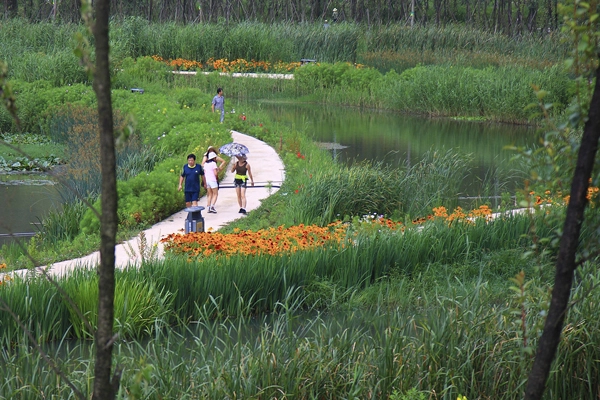 Slow Down: Liupanshui Minghu Wetland Park, 2014 Honor Award Winner, General Design Category image: Kongjian Yu
