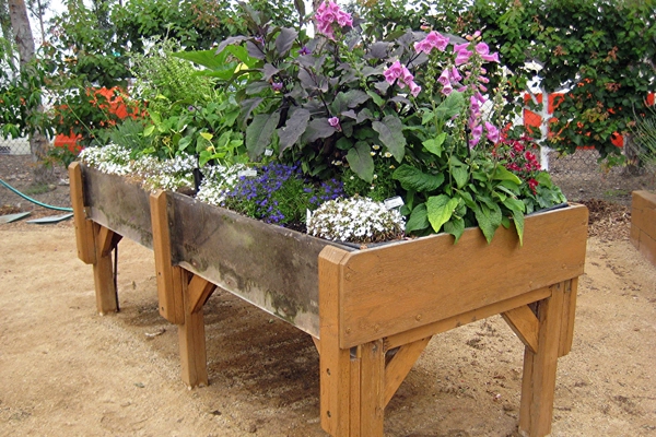 Ideal for seated and standing gardeners, this raised bed provides multiple benefits for children to learn together. image: Amy Wagenfeld