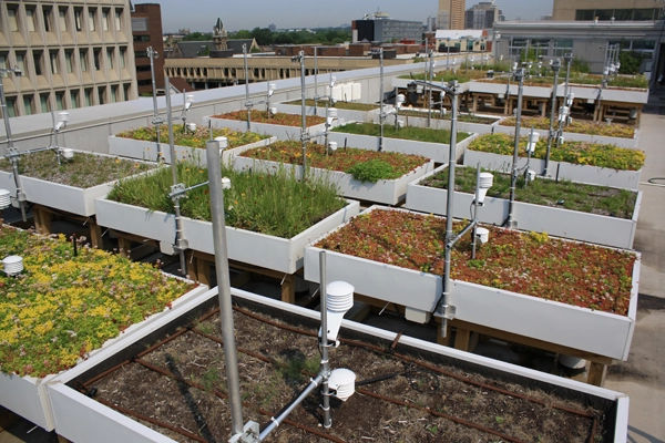 Green Roof Innovation Testing (GRIT) Laboratory, 2013 Award of Excellence Winner, Research Category image: GRIT Lab