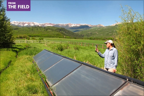 Case Study Investigation (CSI): Measuring the Environmental, Social, and Economic Impacts of Exemplary Landscapes - 2015 Honor Award Winner, Research Category image: Landscape Architecture Foundation