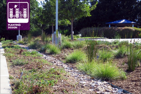Figure 1: BRIT bioswale 2 polyculture in July 2016 after weeding and mulching have brought the planting back closer to the original design intent shown in lead image from part 8. The bioswale is now ready for hundreds of additional specified plants that will be installed in the fall once the weather cools down. image: design and photo by David Hopman