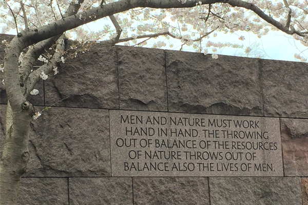 The Franklin Delano Roosevelt Memorial in DC (designed by Landscape Architect Lawrence Halprin) really captures the spirit of national parks with a series of outdoor rooms surrounded by sculptural stone, naturalistic plantings, waterfalls and many inspirational quotes - which collectively tell the story of FDR and the country at the time of his presidency. image: Jennifer Nitzky